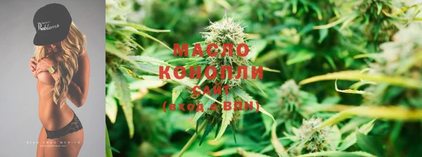 крисы Няндома