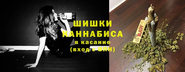 крисы Няндома