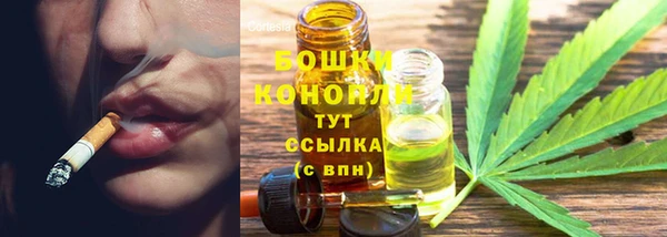 крисы Няндома