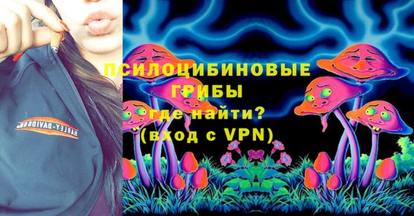крисы Няндома
