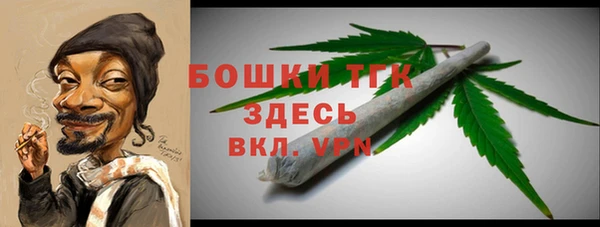 крисы Няндома