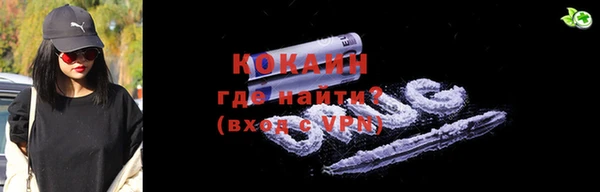 крисы Няндома