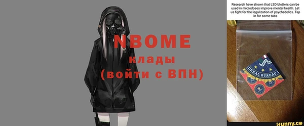 крисы Няндома