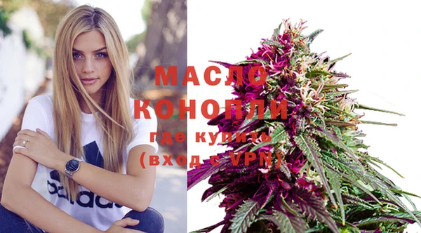 крисы Няндома