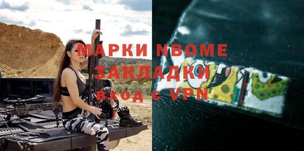 крисы Няндома