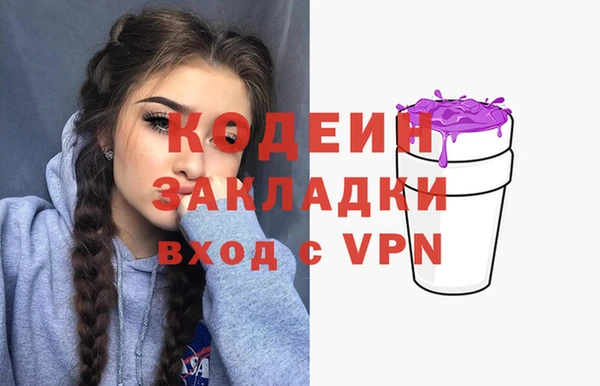 крисы Няндома