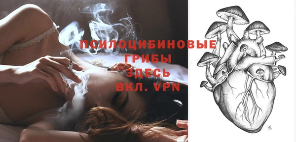 крисы Нягань