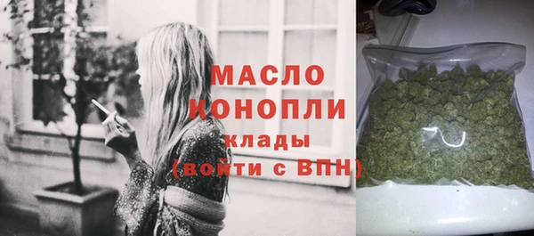 крисы Няндома